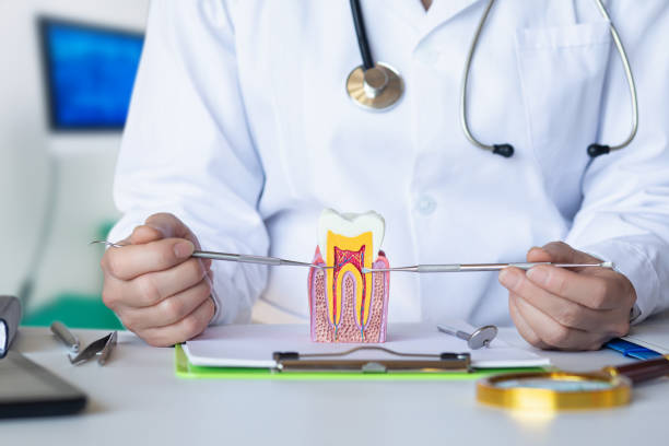 Best Emergency Treatment for Dental Infections or Abscesses in Macclenny, FL